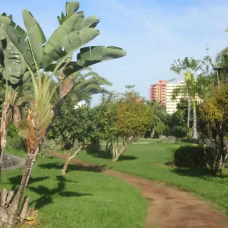 Centrico Loft En El Con Wifi Y Cerca De La Playa Apartmán *