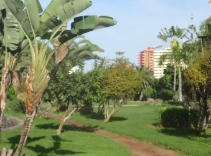 Centrico Loft En El Con Wifi Y Cerca De La Playa Διαμέρισμα *